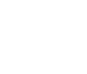 logo_cidh_blanco